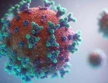La transmisión de este virus ocurre por contacto directo con secreciones contaminadas. UNSPLASH / FUSION MEDICAL ANIMATION