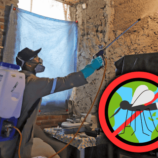 ¿Cuántos casos y muertes por dengue se registraron en Jalisco el 2024?