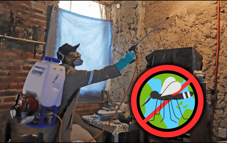 En la Semana Epidemiológica 52 se registraron 205 casos nuevos de dengue y ninguna defunción en Jalisco. EL INFORMADOR / ARCHIVO