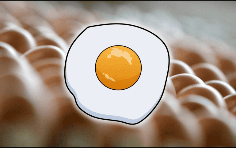 Uno de los componentes más destacados de la clara es la colina, una sustancia necesaria en el desarrollo y mantenimiento de la función cerebral. AFP / ARCHIVO