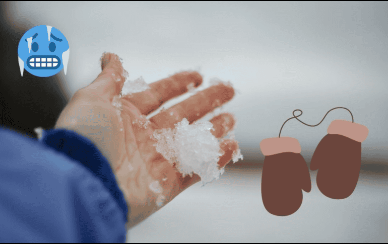 La temperatura corporal basal de una persona saludable, debe ser de 36.5° a 37°C. UNSPLASH / S. LIANA