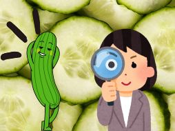 Recuerda que un médico puede orientarte sobre la cantidad diaria de pepino adecuada, según tus necesidades de salud específicas. FREEPIK / CANVA