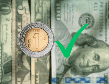 La caída del dólar se ha vinculado a un anuncio realizado por los asesores del presidente electo de Estados Unidos, Donald Trump. Unsplash / Canva