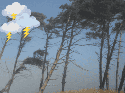 Si la DANA se desplaza hacia la península de Baja California, Sinaloa o Jalisco, podría generar más humedad hacia el centro y sur del país. Canva