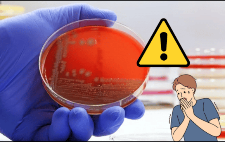 Además, la resistencia antimicrobiana afectará procedimientos médicos críticos, como trasplantes de órganos, tratamientos de quimioterapia y cirugías mayores, incrementando los riesgos para los pacientes. CANVA