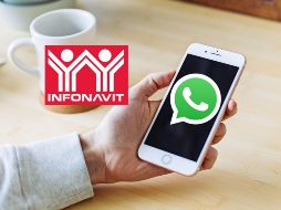 Los usuarios pueden acceder a cualquier dato sobre su cuenta. UNSPLASH / M. BAKER