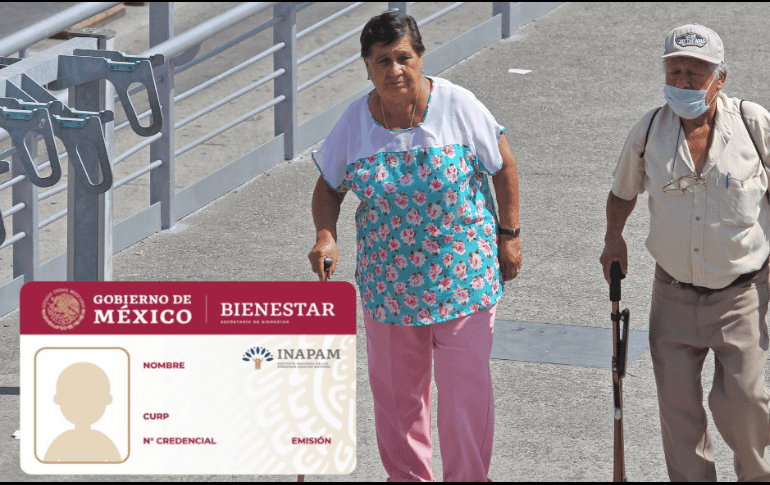 La credencial del INAPAM es una identificación oficial. ESPECIAL/EL INFORMADOR/ ARCHIVO.