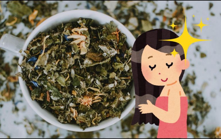 El copalquín es una planta originaria de México. ESPECIAL/Pexels y Canva