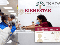 El Inapam ha sido confirmada como identificación de los adultos mayores para acceder a los programas sociales de la Secretaría del Bienestar. GOBIERNO DE MÉXICO/ www.gob.mx/ ESPECIAL