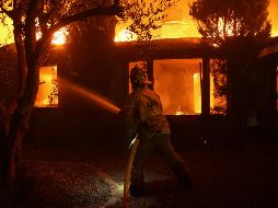 Las autoridades han declarado el estado de emergencia en el área de Pacific Palisades por las fuertes rachas de viento que se espera en las próximas 24 horas. EFE/A. Dinner