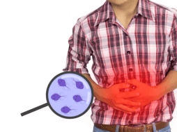 Esta enfermedad se transmite principalmente a través de alimentos o agua contaminados durante su preparación, así como al entrar en contacto con superficies infectadas. CANVA