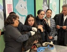 El programa arrancó oficialmente con la primera implantación de un chip en las instalaciones del CISAZ, donde también se ofrece el registro gratuito al adquirir el chip. ESPECIAL