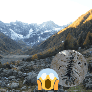 Descubren por accidente un mundo perdido en los Alpes italianos