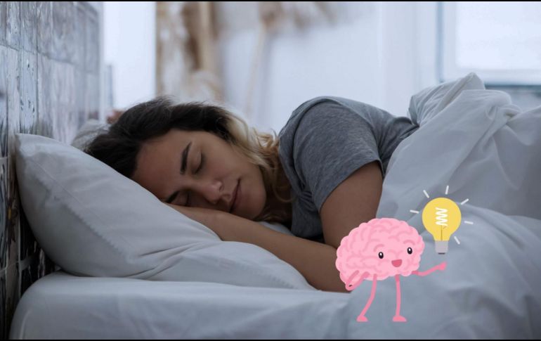 Científicos daneses descubrieron que una molécula llamada norepinefrina es la que desempeña el papel clave para efectuar ‘la limpieza del cerebro’ al dormir.ESPECIAL/Pexels y Canva