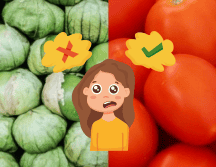  La confusión viene principalmente de regionalismos. GOBIERNO DE MÉXICO