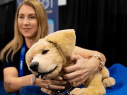 Estos son los inventos que mayor curiosidad han provocado en la Feria de Electrónica de Consumo . AP / Jack Dempsey)