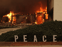 La velocidad del viento y la velocidad de propagación de las llamas están claramente vinculadas. EFE / A. Dinner