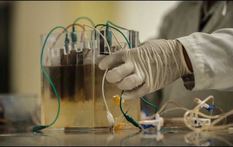 La presencia de mercurio en los cuerpos acuáticos es dañina para el ecosistema y para el ser humano. EL INFORMADOR / ARCHIVO