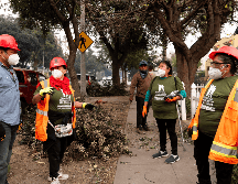Generalmente, las labores de remoción de estos árboles las hacen los bomberos y empleados de la ciudad, pero estos trabajadores se encuentran ocupados combatiendo las llamas, por lo que los indocumentados han asumido esta labor. EFE / A. M. Varón