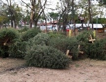 La Dirección de Medio Ambiente del Ayuntamiento de Zapopan ha dispuesto 8 puntos de acopio para la entrega de arboles navideños naturales. ESPECIAL / Gobierno de Zapopan
