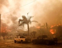 Cinco personas han muerto y miles han sido evacuadas de sus hogares y sitios donde se albergaban luego de los grandes incendios forestales que han azotado el sur de California. EFE / C. Brehman
