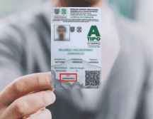 Te explicamos cómo reponer tu licencia, aplicable para los tipos A, A1 y A2. ESPECIAL