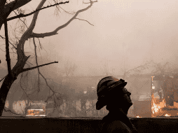 Por el momento, no había indicios oficiales de que ninguno de los fuegos fuera provocado. EFE / C. BREHMAN