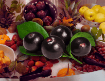 Las bayas de acai, debido a sus nutrientes, son consideradas como un superalimento porque ayudan a combatir el envejecimiento, evitando las arrugas. AP / ARCHIVO