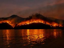 Procurar el cuidado y la prevención constantes pueden hacer la diferencia en la protección de vidas y propiedades frente a incendios forestales. ESPECIAL/PEXELS