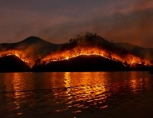 Procurar el cuidado y la prevención constantes pueden hacer la diferencia en la protección de vidas y propiedades frente a incendios forestales. ESPECIAL/PEXELS