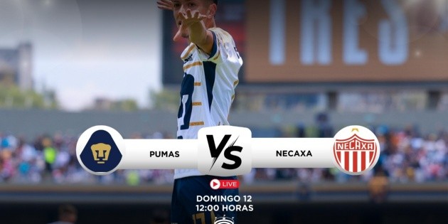Pumas vs Necaxa: Dónde ver EN VIVO el partido de la J1, Clausura 2025 ...