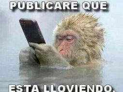 Imágenes de personas envueltas en cobijas 