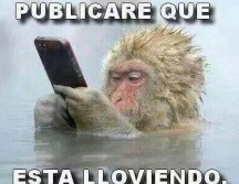 Imágenes de personas envueltas en cobijas 