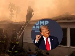 El número de fallecidos por los incendios desatados a comienzo de esta semana en el área de Los Ángeles, en el sur de California, han aumentado a 16, según la oficina del médico forense local. EFE /A. DINNER / ARCHIVO