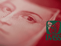 El IMSS reitera la importancia de verificar la información para asegurar la entrega puntual de los pagos. UNSPLASH / I. Díaz