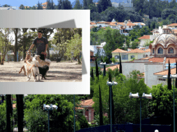 La IA detalló cuáles son algunas de las colonias más apreciadas de Zapopan por su belleza, tranquilidad y calidad de vida. EL INFORMADOR/ARCHIVO