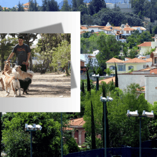 Esta es la colonia más bonita de Zapopan, según la Inteligencia Artificial