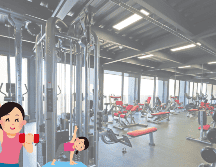 Entrena en la comodidad de un gimnasio. SUN / ARCHIVO