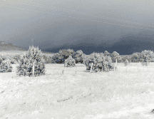 Según el SMN, en la estación meteorológica del punto, los termómetros registraron 23.1 grados bajo cero. NTX / ARCHIVO