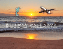 Viajar desde Guadalajara a Puerto Vallarta por la vía corta se ha incrementado considerablemente en menos de un mes. EL INFORMADOR / O. Álvarez