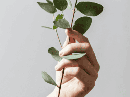 Unsplash / Canva