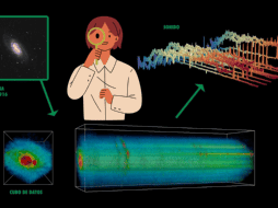 Un reciente estudio publicado en la revista 