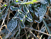 Se pronostican lluvias muy intensas en varios estados de México. EFE / ARCHIVO