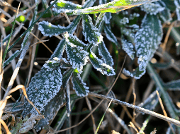 Se pronostican lluvias muy intensas en varios estados de México. EFE / ARCHIVO