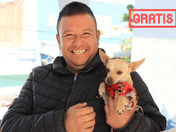 La campaña tiene el objetivo de disminuir la sobrepoblación de gatitos y perritos callejeros. EL INFORMADOR / ARCHIVO