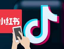 La famosa red social TikTok corre el riesgo de ser historia en EU, ya que enfrenta una ley que ordena su prohibición en ese país. UNSPLASH/Alexander Shatov