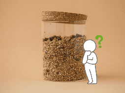 Lo que hace aún más atractivo al amaranto es su gran versatilidad culinaria. UNSPLASH / K. Baitinger