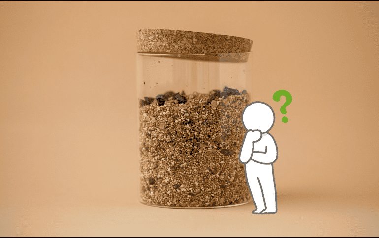 Lo que hace aún más atractivo al amaranto es su gran versatilidad culinaria. UNSPLASH / K. Baitinger