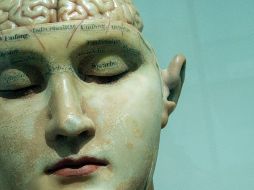 Esta relación integral muestra el equilibrio general del cuerpo y la mente. UNSPLASH / D. Matos