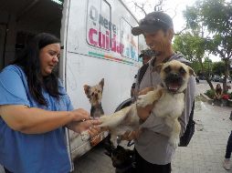 Desde el portal Experto Animal manifiestan que las vacunas juegan un papel fundamental en la prevención de enfermedades graves e incluso mortales en perros y gatos. EL INFORMADOR / ARCHIVO